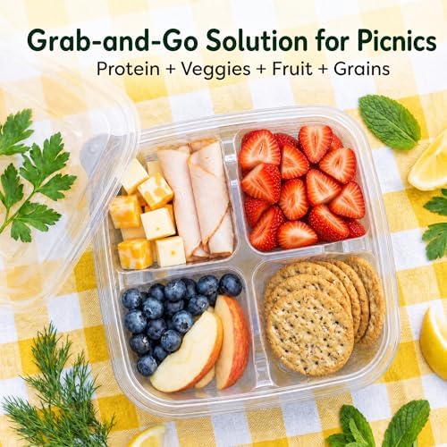 50 Pcs Snack Containers, 4 Compartment Bento Box with Lids, Plastic Food Storage Containers for Work Travel Camping(Clear)