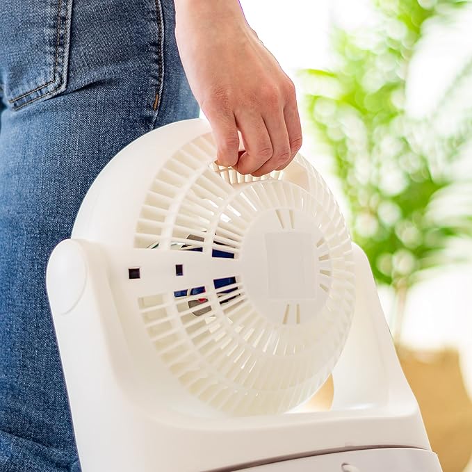 IRIS USA WOOZOO Desk Fan, Oscillating Air Circulator, 3 Speeds, 36ft Max Air Distance, 244ft² Coverage, 112° Adjustable Vertical Tilt, 29db Quiet Motor, Small Fan for Bedroom, Office, Dorm, White