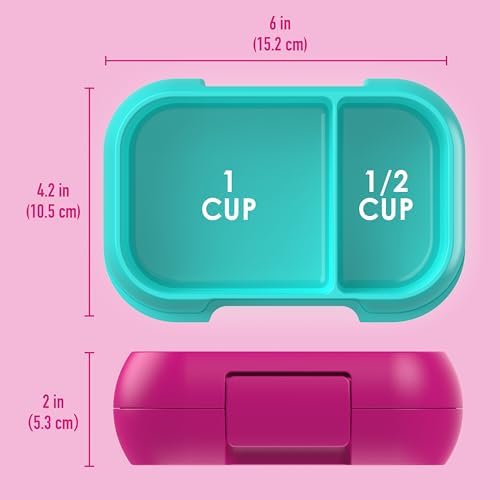 Kids Snack Leak-Proof 2 Compartment Bento-Style Container