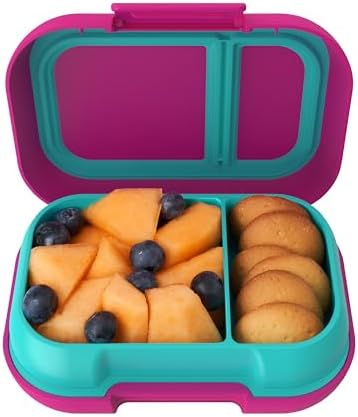 Kids Snack Leak-Proof 2 Compartment Bento-Style Container