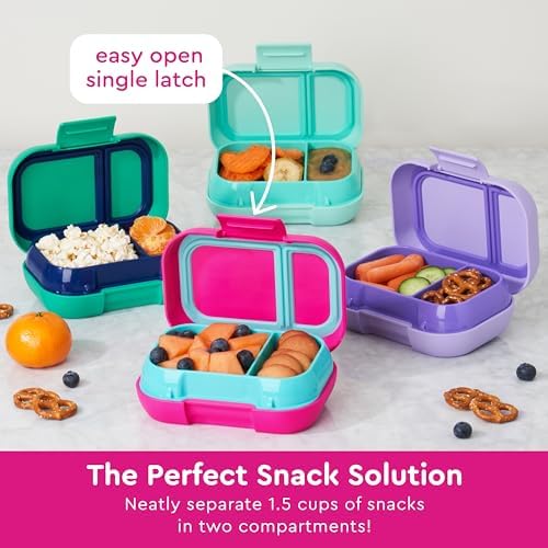 Kids Snack Leak-Proof 2 Compartment Bento-Style Container