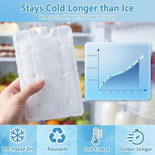 Snackle Box Container With Ice Pack-Stainless Steel Snack Containers-Chilled Snackle Box With Ice Pack-Portable Snack Tray With Lid Picnic Travel for Beach Road Trip Essentials Insulated Bag