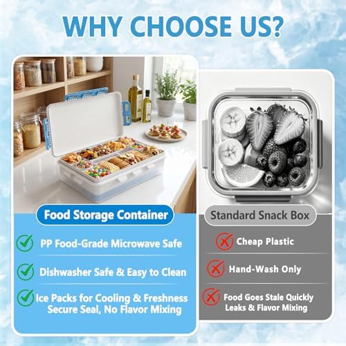 Snackle Box Container With Ice Pack-Stainless Steel Snack Containers-Chilled Snackle Box With Ice Pack-Portable Snack Tray With Lid Picnic Travel for Beach Road Trip Essentials Insulated Bag