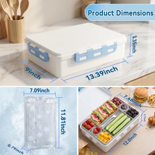 Snackle Box Container With Ice Pack-Stainless Steel Snack Containers-Chilled Snackle Box With Ice Pack-Portable Snack Tray With Lid Picnic Travel for Beach Road Trip Essentials Insulated Bag