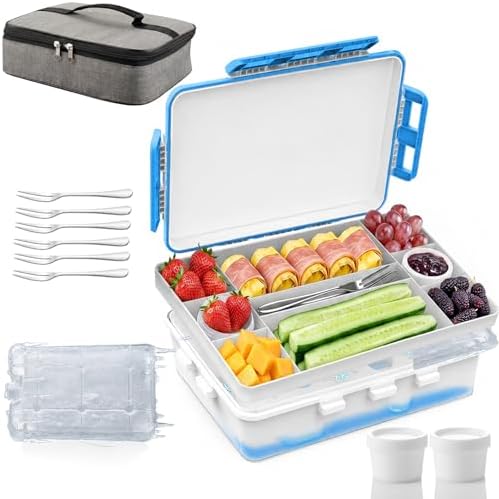 Snackle Box Container With Ice Pack-Stainless Steel Snack Containers-Chilled Snackle Box With Ice Pack-Portable Snack Tray With Lid Picnic Travel for Beach Road Trip Essentials Insulated Bag