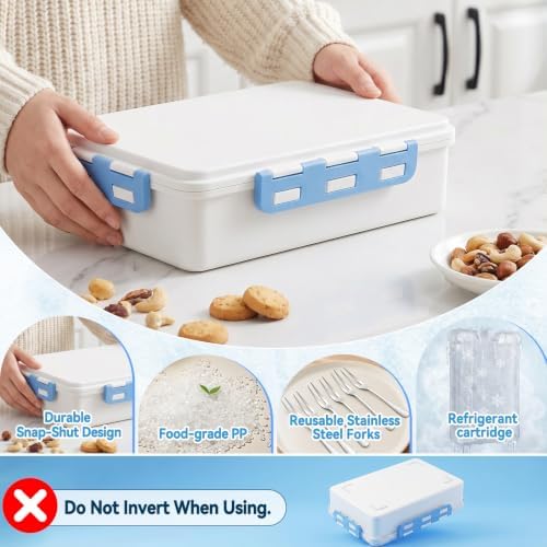Snackle Box Container With Ice Pack-Stainless Steel Snack Containers-Chilled Snackle Box With Ice Pack-Portable Snack Tray With Lid Picnic Travel for Beach Road Trip Essentials Insulated Bag