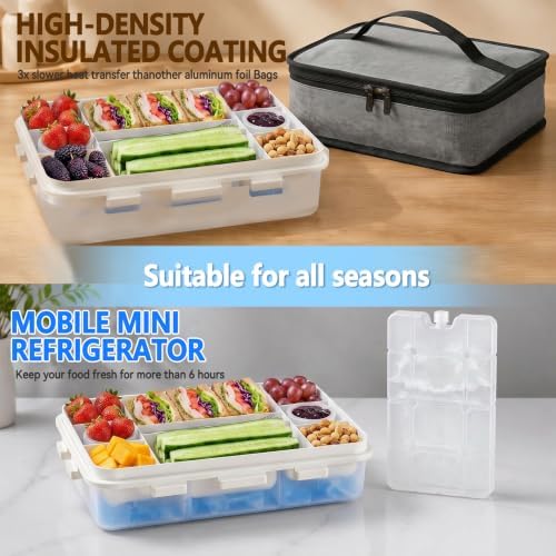 Snackle Box Container With Ice Pack-Stainless Steel Snack Containers-Chilled Snackle Box With Ice Pack-Portable Snack Tray With Lid Picnic Travel for Beach Road Trip Essentials Insulated Bag
