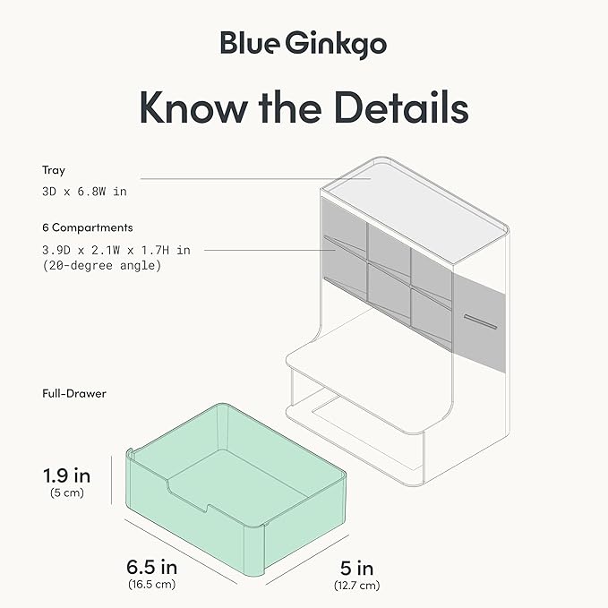 BLUE GINKGO Hive Desk Organizer, Vertical 6-Compartment, Made in Korea, Blue