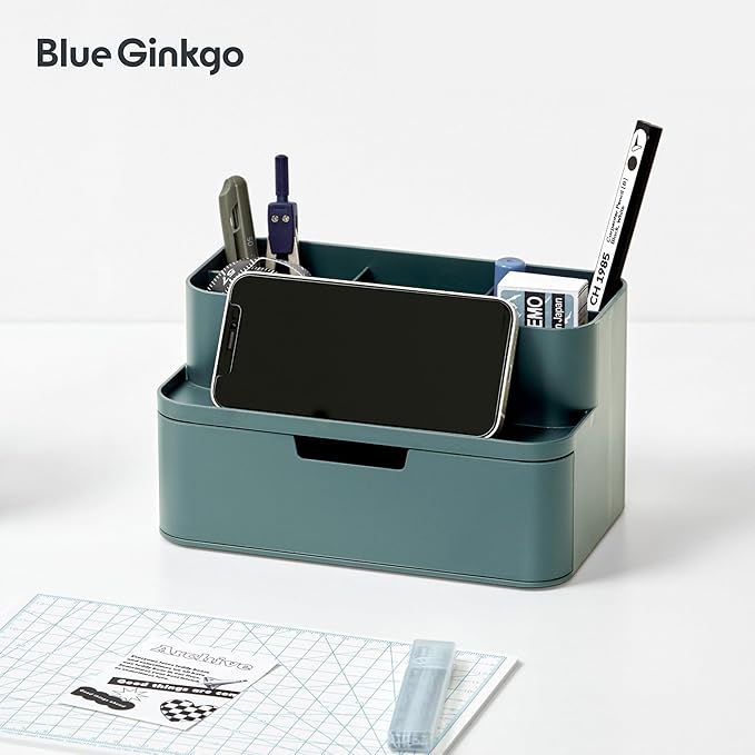BLUE GINKGO Compact Desk Organizer, Small 5-Compartment, Made in Korea, Green