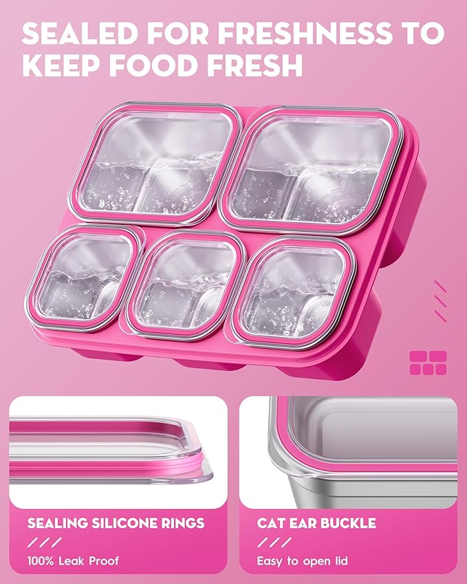 BiuLeon Snackle Box Containers, Stainless Steel 5 Compartments Divided Serving Tray with Lid