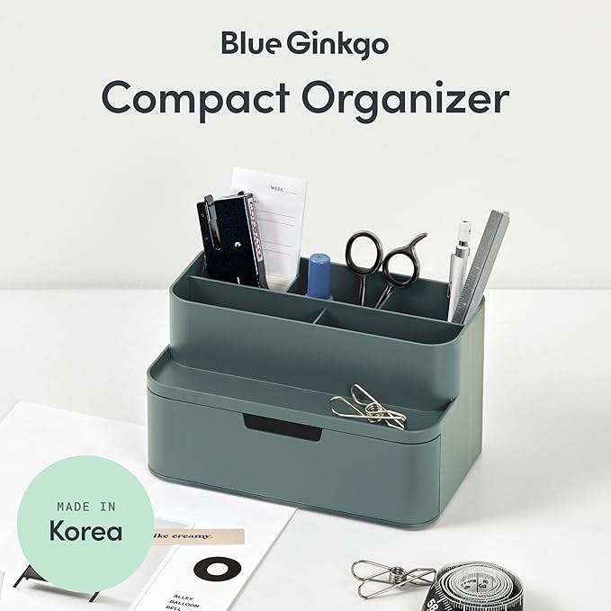 BLUE GINKGO Compact Desk Organizer, Small 5-Compartment, Made in Korea, Green