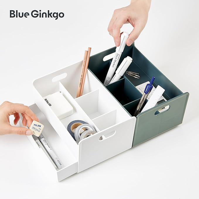 BLUE GINKGO Portable Desk Organizer, Compact 3 Compartment, Made in Korea, Green