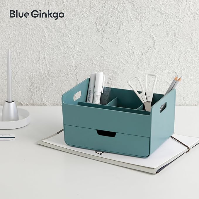 BLUE GINKGO Portable Desk Organizer, Compact 3 Compartment, Made in Korea, Green