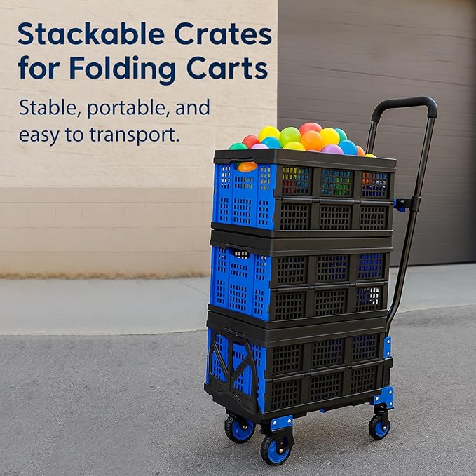 Collapsible Storage Crate 22L x 15W x 10.7H Inch, 1 Pack