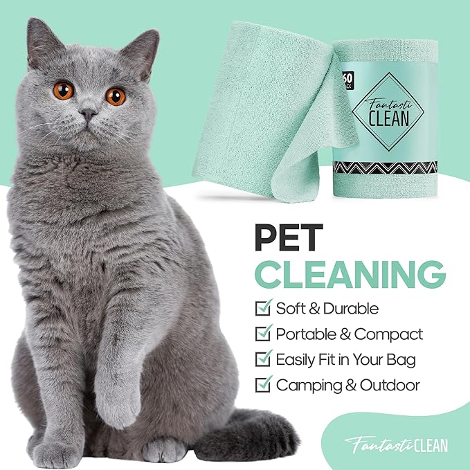 Fantasticlean Microfiber Cleaning Cloth Roll -60 Pack, Tear Away Paperless Towels, 8" x 8", Reusable Washable Rags, for House Kitchen, Pet, Office, Indoor Outdoor, Compact and Portable (Mint Green)