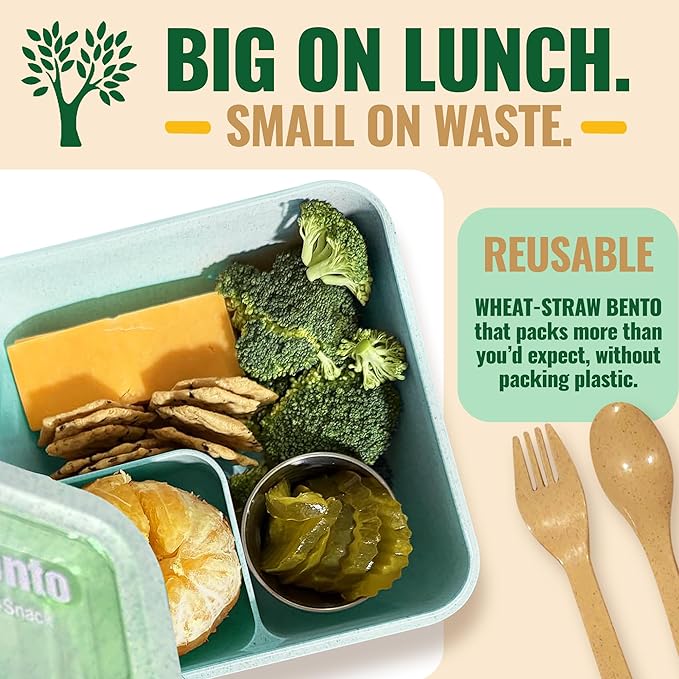 GreenLunch Bento Lunch Box for Kids, Large 2-Compartment, Durable and Microwave Safe, BPA-Free with Utensils, Wheat Straw Bento Box for Kids – Green