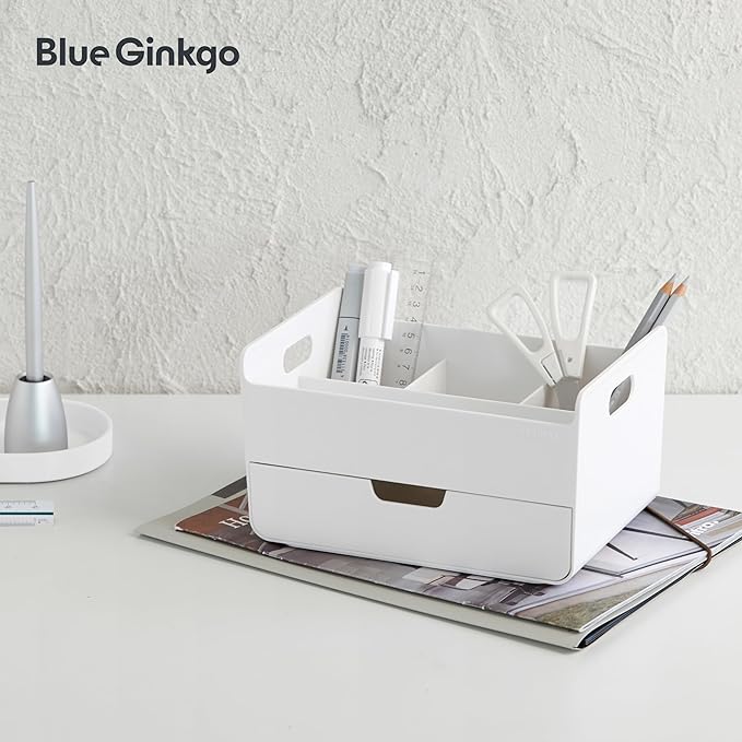BLUE GINKGO Portable Desk Organizer, Compact 3 Compartment, Made in Korea, White