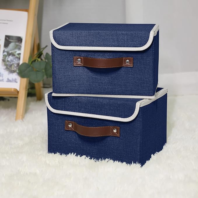 ANMINY 4 Storage Bins with Lid - Small Blue