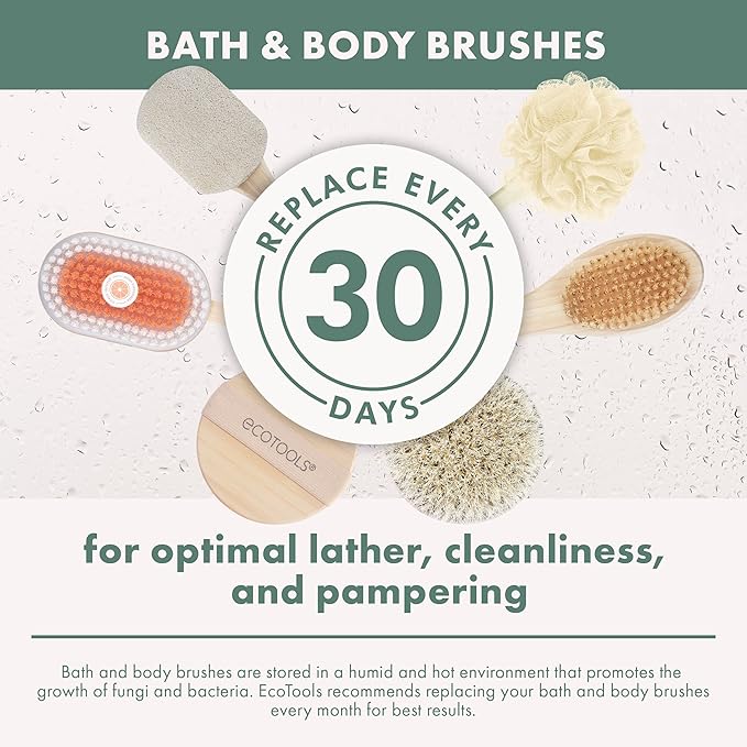 EcoTools Bristle Bath Brush, Shower Body Brush with Gentle, Stiff Bristles, Long Bamboo Handle, Gently Exfoliating for Back & Body, Stimulates Blood Circulation, Eco-Friendly, 1 Count (Pack of 2)