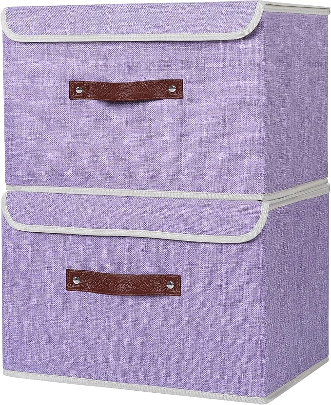 ANMINY 2 Storage Bins w/ Lid - Large Purple