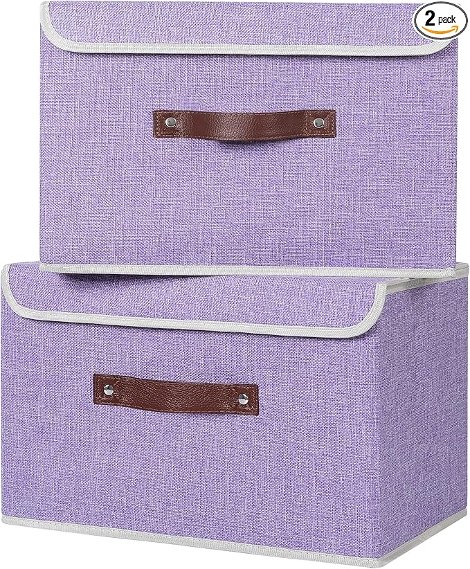 ANMINY 2 Storage Bins w/ Lid - Large Purple